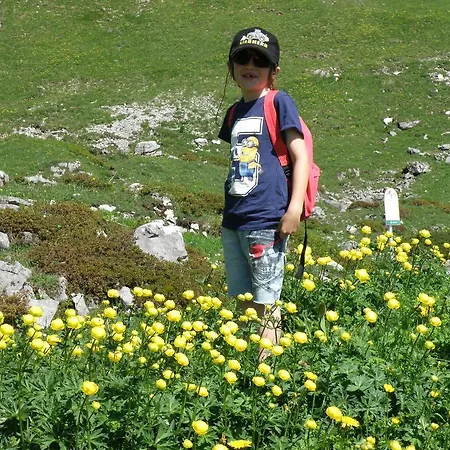 Kathrein Lägenhet Reutte