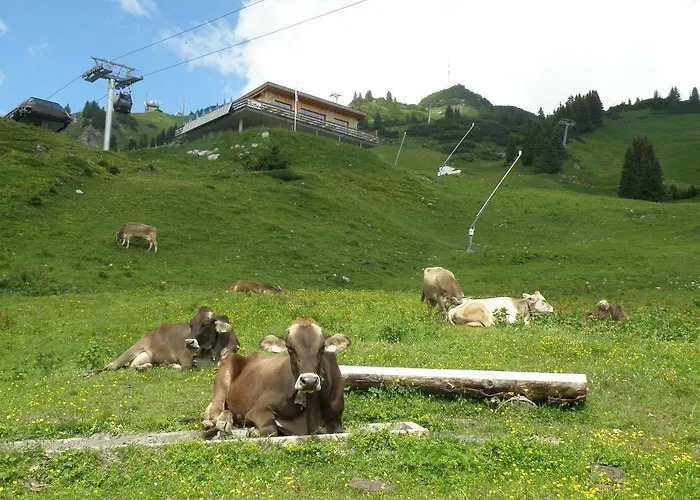 페리엔보눙엔 카트라인 * 로이테