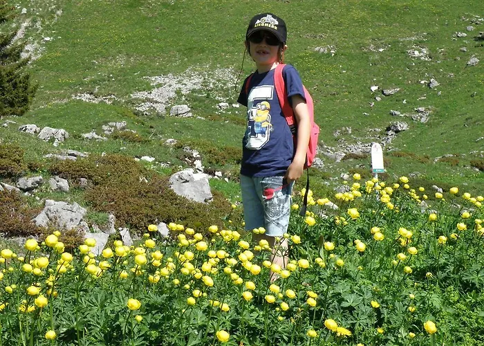 Kathrein Daire Reutte